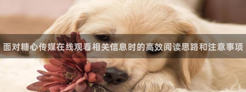 糖心免费看