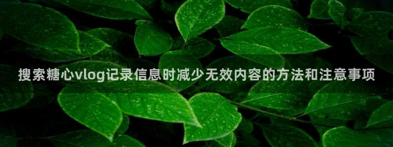 糖心vlog91