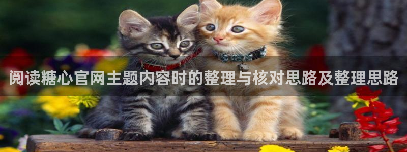 糖心vlog最新视频:阅读糖心官网主题内容时的整理与核对思路及整理思路