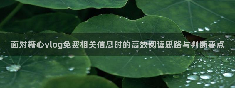 糖心视频污
