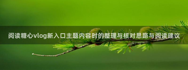 糖心vlog下载入口