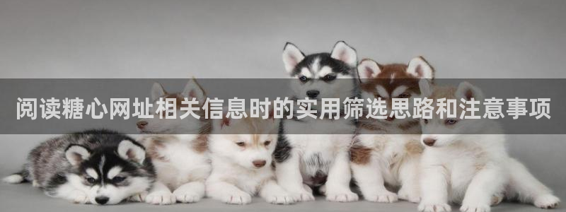 糖心vlog新入口:阅读糖心网址相关信息时的实用筛选思路和注意事项