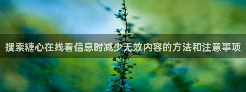 糖心vlog破解版免费版:搜索糖心在线看信息时减少无效内容的方法和注意事项